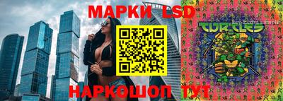 молекула духа Северобайкальск