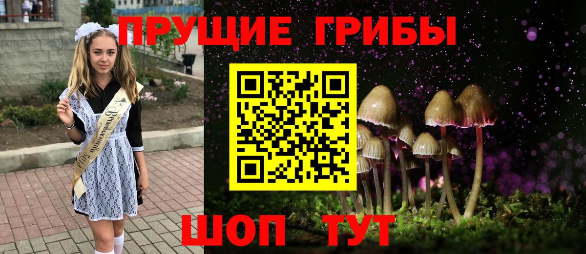 Новороссийск  Псилоцибиновые грибы мухоморы  Вход с VPN 