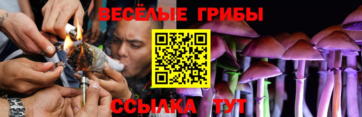 Галлюциногенные грибы прущие грибы Новороссийск